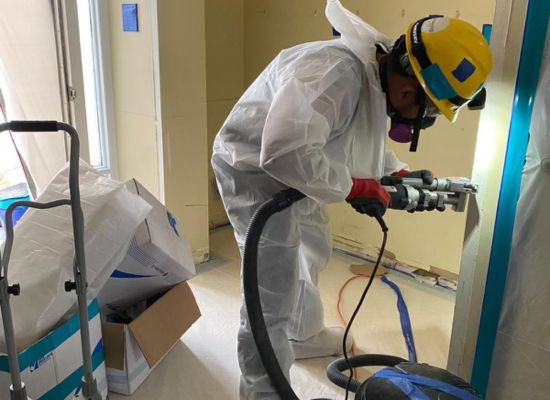 Mold Remediation